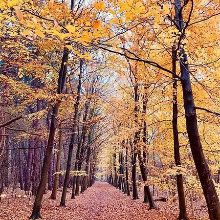 House Santa Maria - North Sea